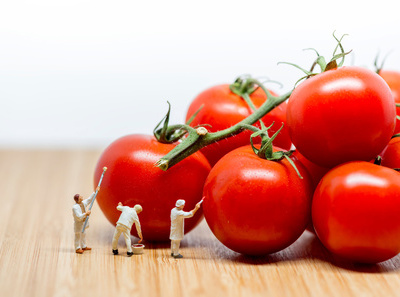 番茄富含食物纤维 排毒瘦身减肥