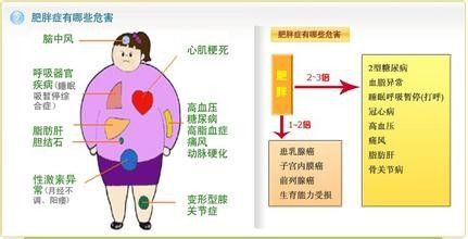 造成肥胖的原因有哪些？(图1)
